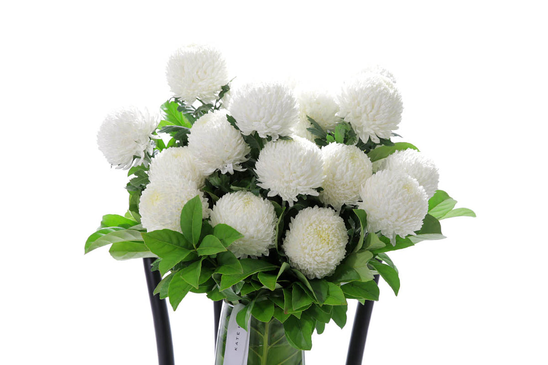 Close-up of PIPER tapered vase with white disbuds