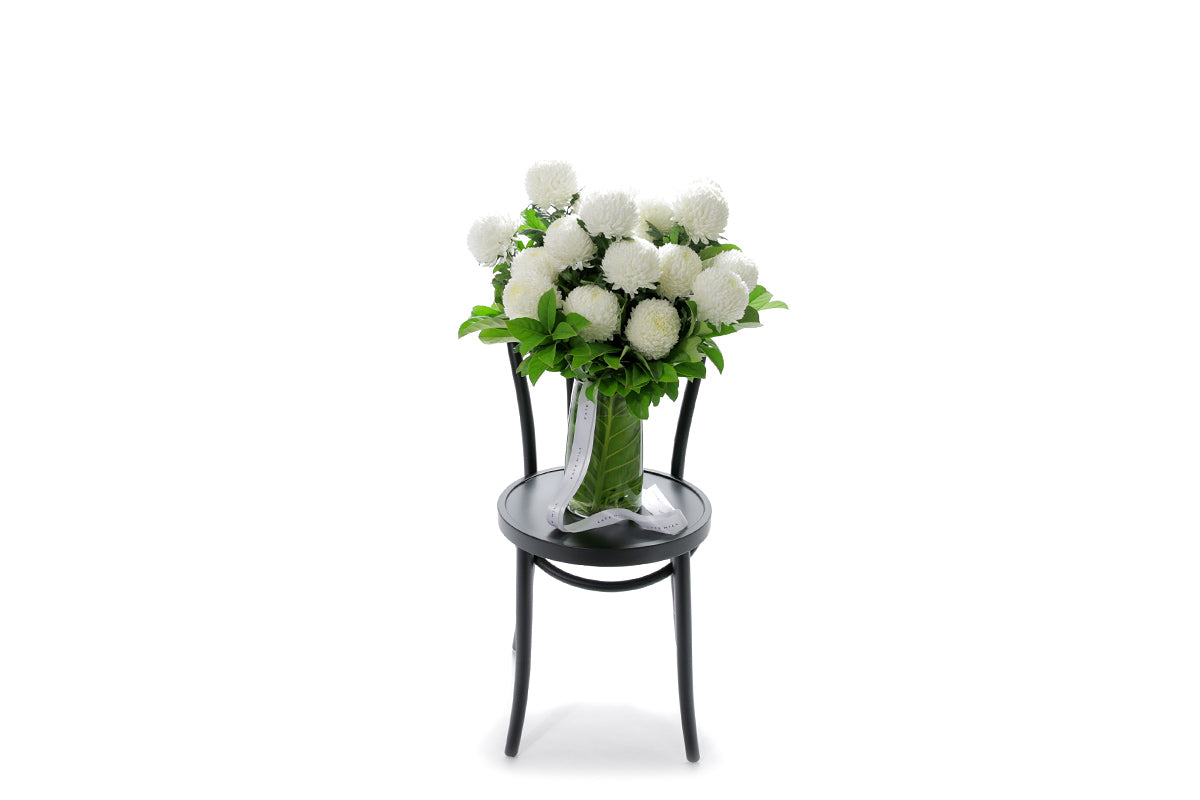 PIPER white disbuds in a tapered glass vase lined with monsteria
