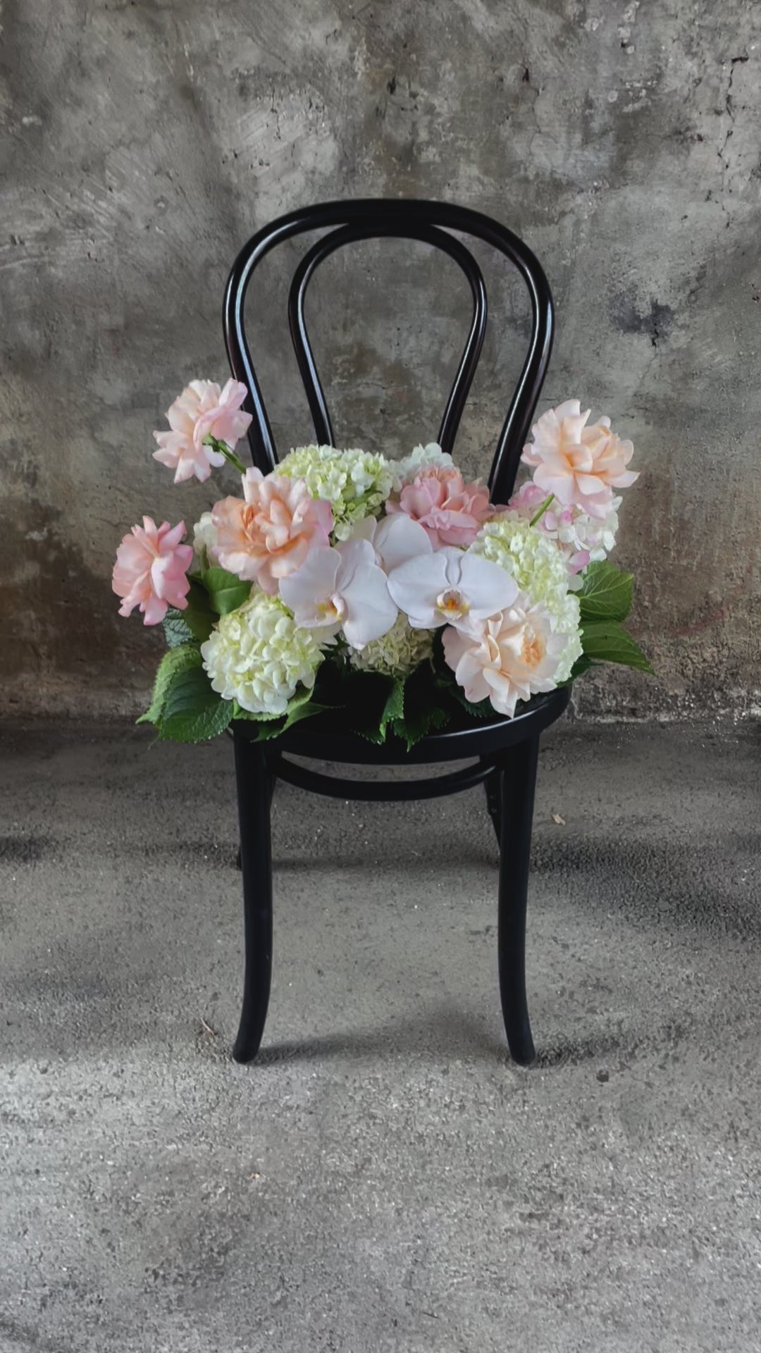 Video of A floral hedge in white, blush and green tones, sitting on a black bentwood chair with a concrete wall background.