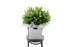 VALERIE large white lily bouquet of 20 white oriental lilies by Kate Hill Flowers Melbourne