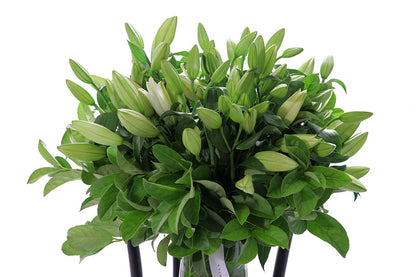 Close-up of VALERIE large tapered vase with white oriental lilies