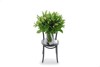 VALERIE 20 stems of white oriental lilies in a tapered glass vase lined with monsteria