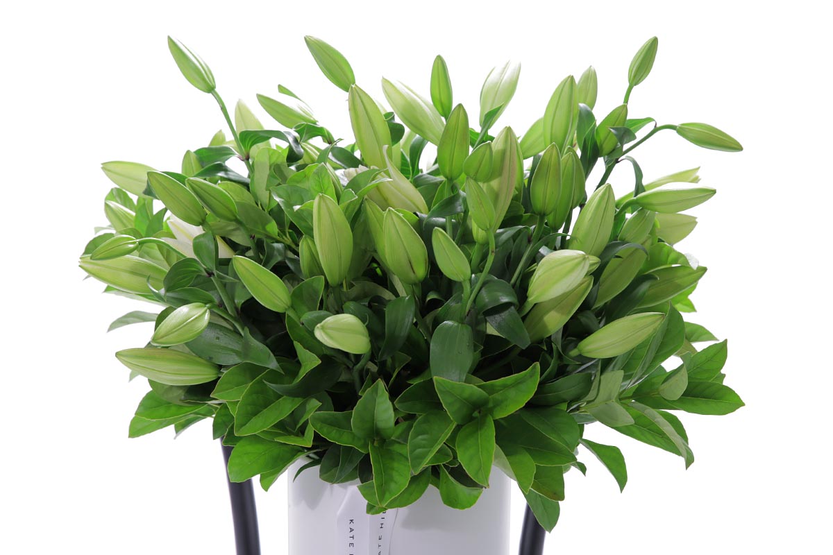 Black Rock flower delivery by Kate Hill Flowers
