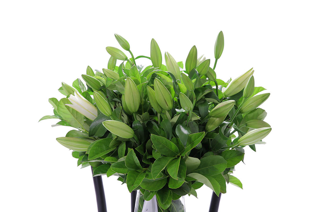Close-up of VALERIE large tapered vase with white oriental lilies