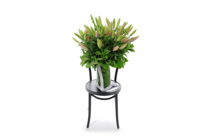 VARDA 20 stems of pink oriental lilies in a tapered glass vase lined with monsteria