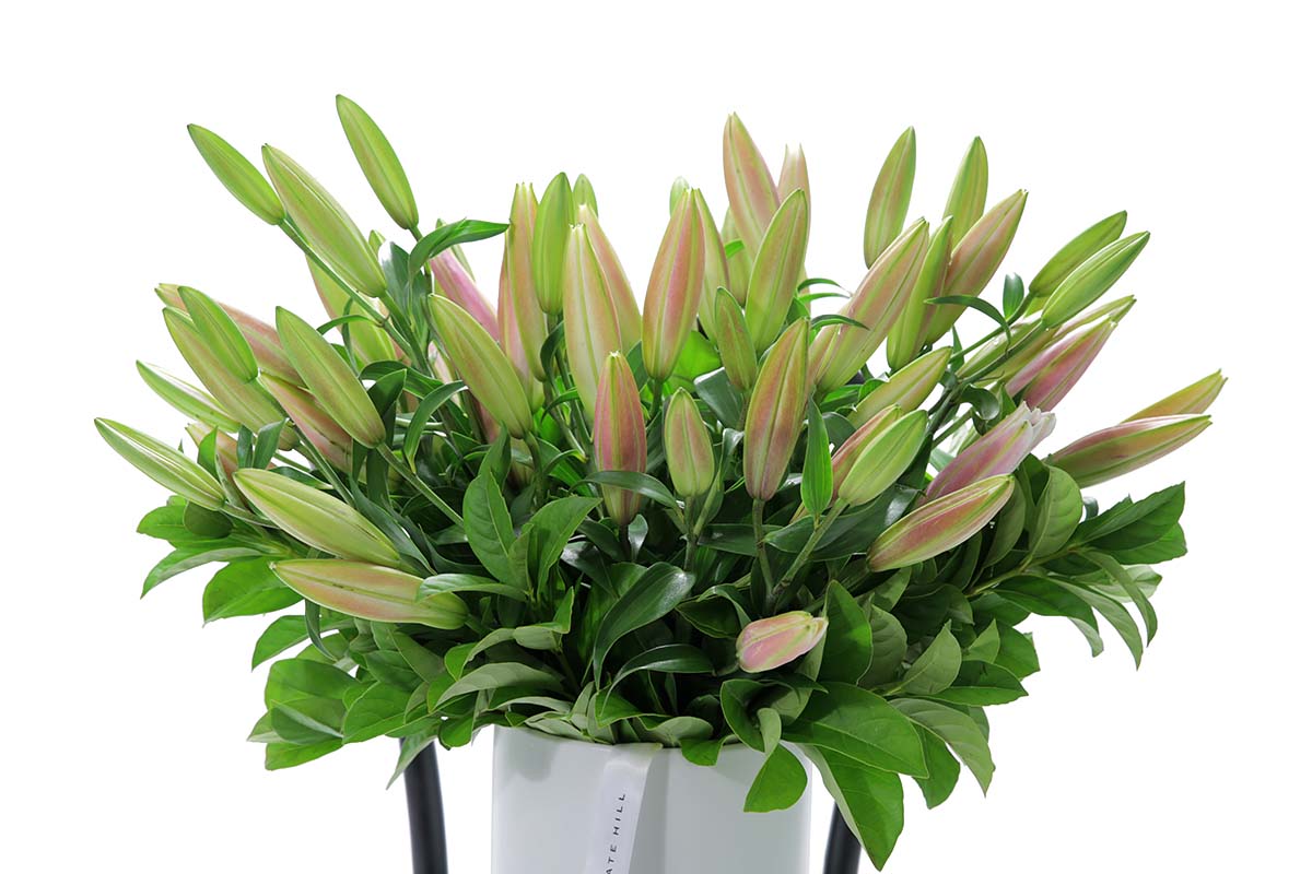 Mentone flower delivery by Kate Hill Flowers
