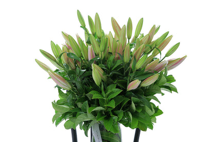 Close-up of VARDA tapered vase with pink oriental lilies