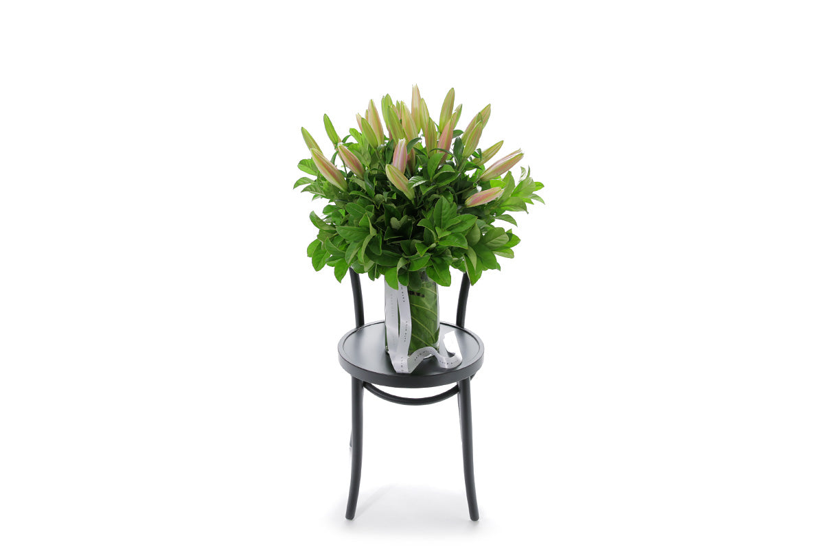 VARDA pink oriental lilies in a tapered glass vase lined with monsteria
