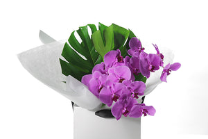 Chic and long lasting gift bouquet featuring 2 stems of Magenta phalaenopsis orchids and lush green monsteria leaves. Bouquet presented in Kate Hill Flower Bag. Close image of the bouquet so you can see the colour and whats in the bouquet.