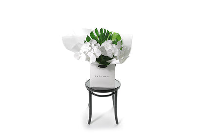 Chic and long lasting gift bouquet featuring 2 stems of pure white phalaenopsis orchids and lush green monsteria leaves. Bouquet presented in Kate Hill Flower Bag. Bouquet bag sitting on a black bentwood chair. Wide image of the bouquet bag sitting on the chair.