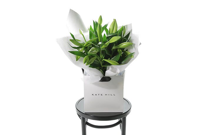 EVE Flower Bouquet features a simple bouquet of white Christmas or Longiflorum Lilies. Perfect for those who love Lilies in the home for the festive holiday season or as a simple sympathy gift bouquet. Gift bouquet is presented beautifully in signature kate hill flowers wrapping and placed into a flower bag. Bouquet bag sitting on black bentwood chair.