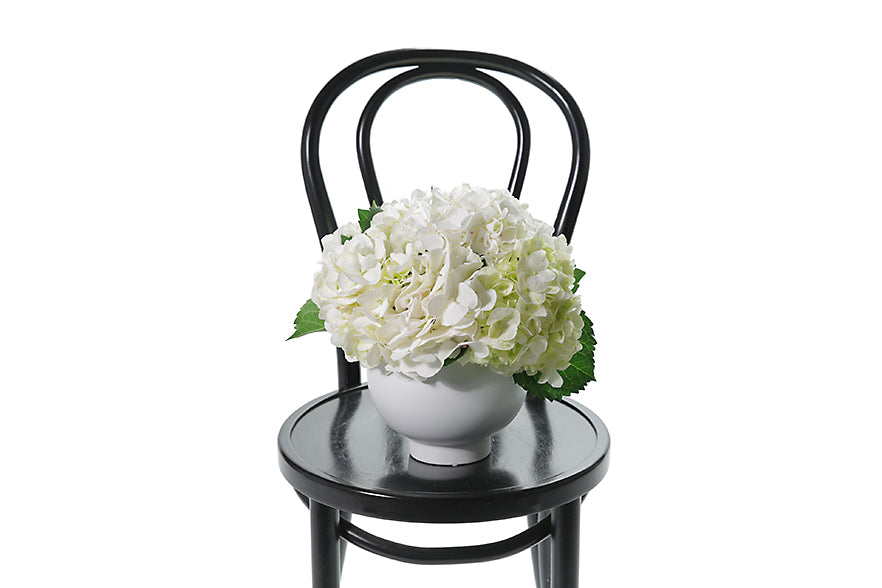 White contemporary ceramic ball vase displaying a dome of white hydrangeas only. Chic white hydrangea design is sitting on a black bentwood chair. Vase Design will be presented in a Kate Hill flower bag and be detailed with ribbon.