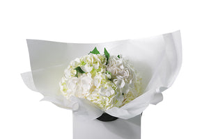 Small chic bouquet displaying a dome of white hydrangeas (no additional foliage). Bouquet presented in Kate Hill Flower Bag. Close up image of the Freya Hydrangea Flower Bouquet.