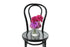 Petite ribbed glass vase displaying bright pink and magenta seasonal flower. Gift includes the vase. Petite vase design sitting on black bentwood chair with white background.