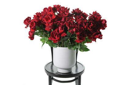 A grande design, displaying 50 long stemmed red roses on mass in a large white footed ceramic vase. Large design is sitting on a black bentwood chair with white background.