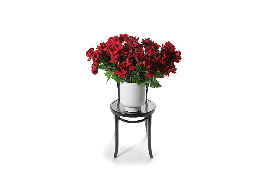A grande design, displaying 50 long stemmed red roses on mass in a large white footed ceramic vase. Large design is sitting on a black bentwood chair with white background. Wide image to give you an idea of how large the design is.