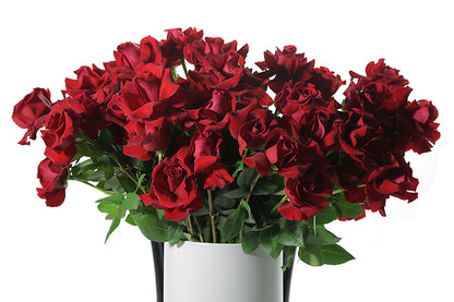 Up close image of red roses in white ceramic vase. A grande design, displaying 50 long stemmed red roses on mass in a large white footed ceramic vase. Large design is sitting on a black bentwood chair with white background.