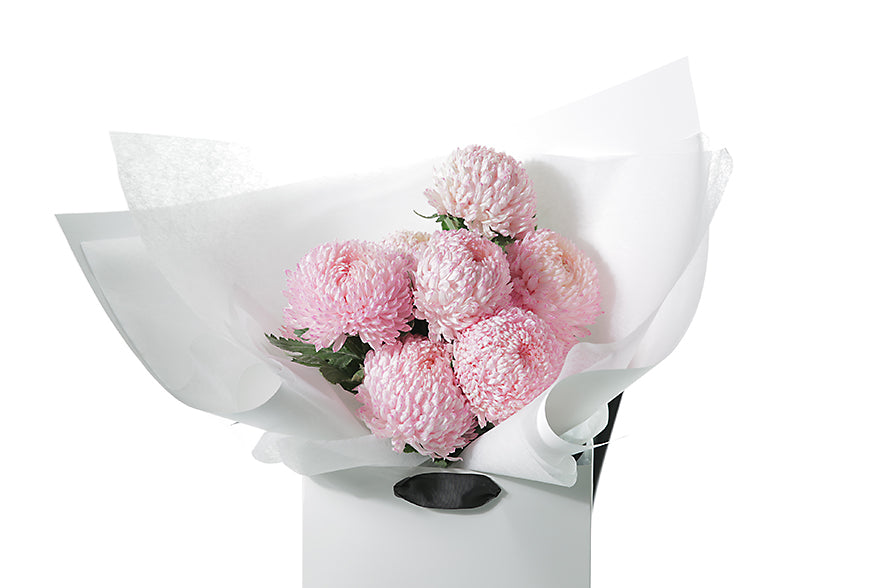 Close up image of the pink disbud bouquet. Pink Big Mom Disbud Gift Bouquet displaying 10 stems of pink Disbuds (no additional foliage) flower only. Gift Bouquet presented in Kate Hill Flower Bag. Bouquet bag sitting on a black bentwood chair.
